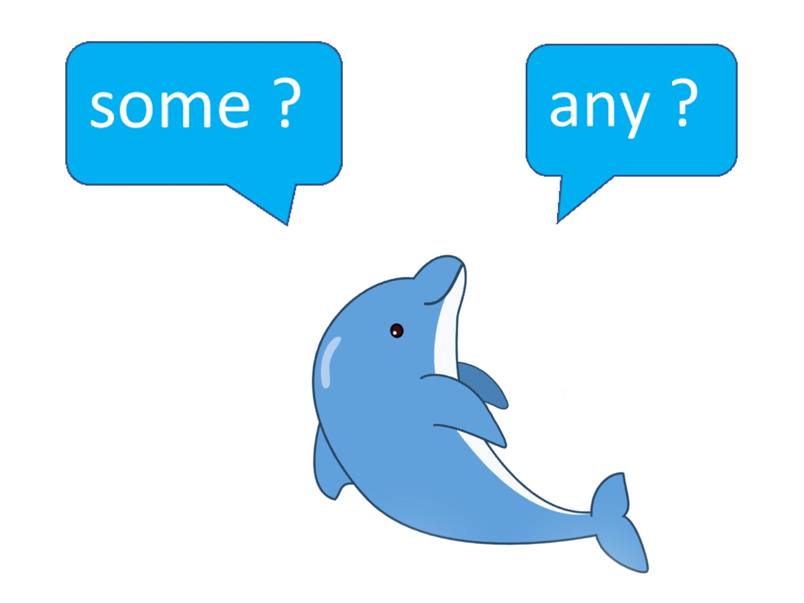 ドルたんsome,any