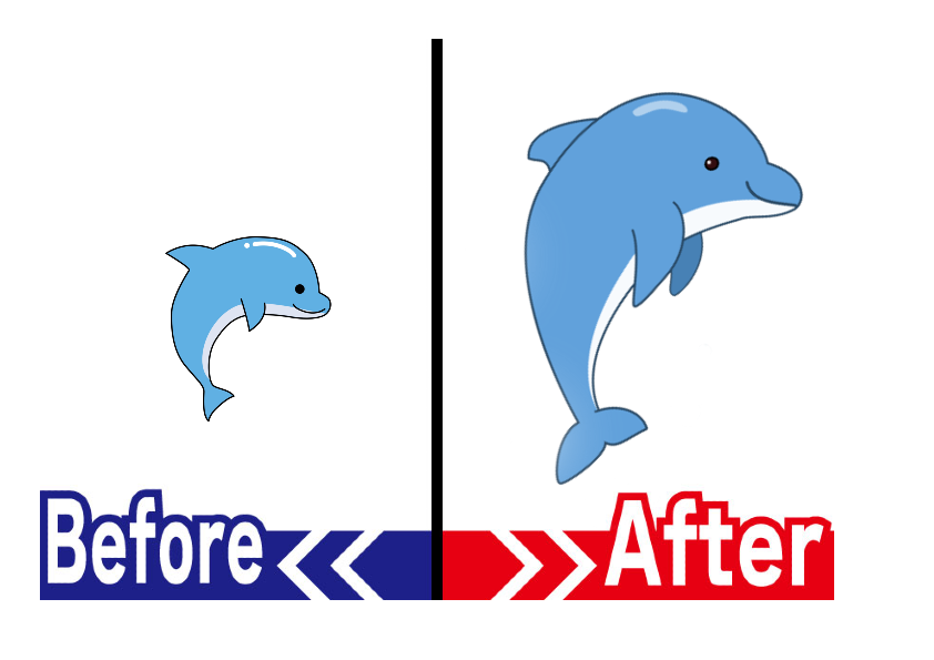 ドルたんBefore-After